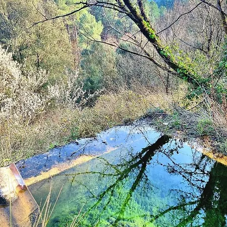 Les Reves D'eden Dans Mas Cevenol -spa Privatif בית הארחה Carnoules (Gard)