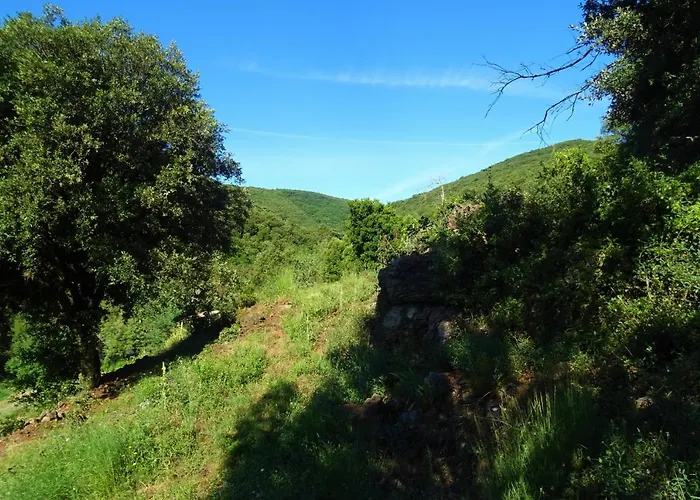 Gasthof Les Reves D'eden Dans Mas Cevenol -spa Privatif